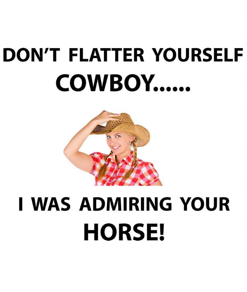 Photo of Cowgirl
"Don't flatter yourself Cowboy.....I was admiring your horse!"