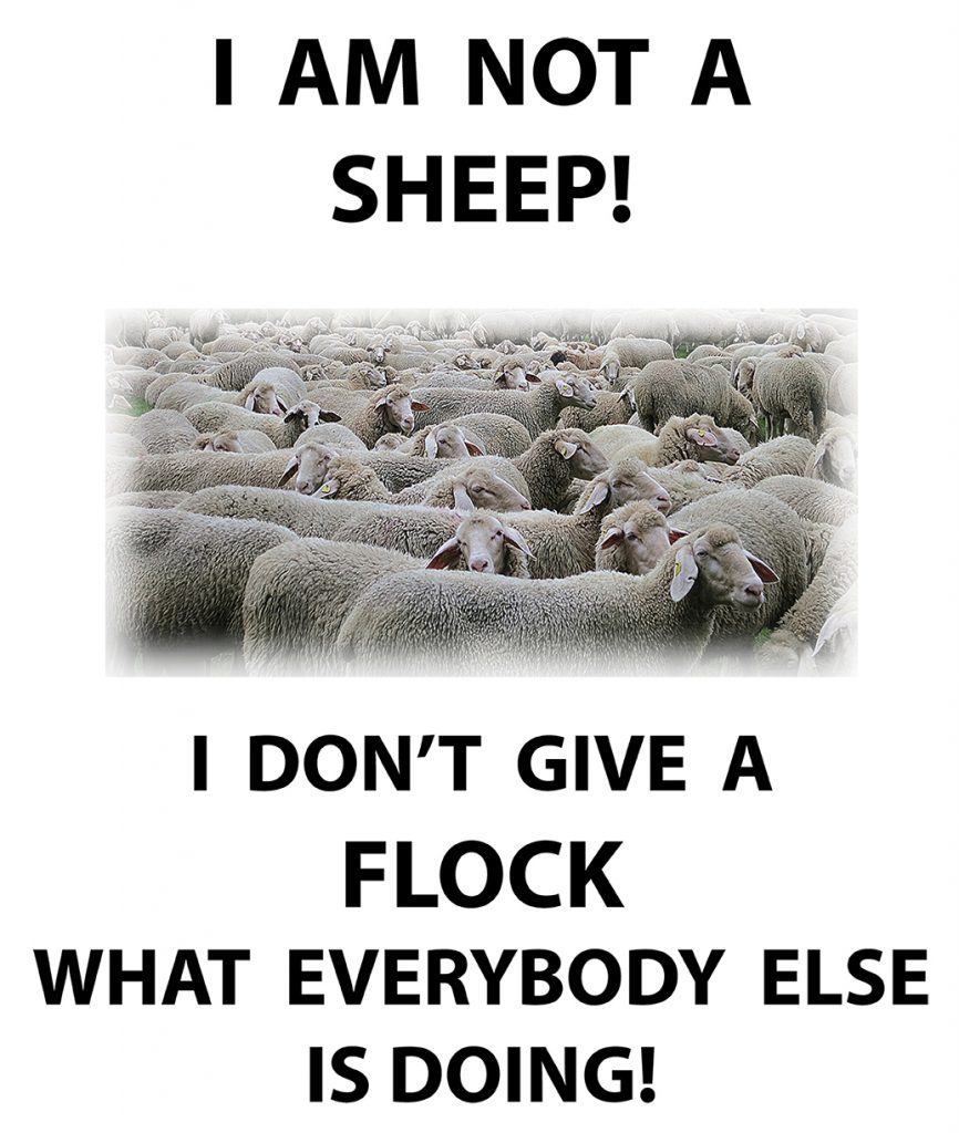 Photo of sheep flock
"I am not a sheep!  I don't give a flock what everybody else is doing!"